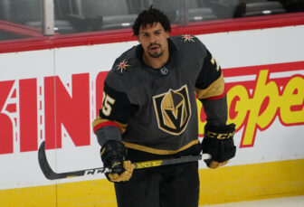 New York Rangers trade for Ryan Reaves; no one is pushing them around anymore
